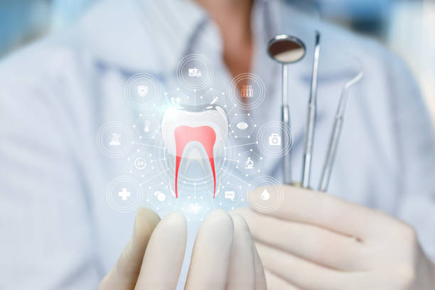 Best Emergency Dental Care  in Fulda, MN
